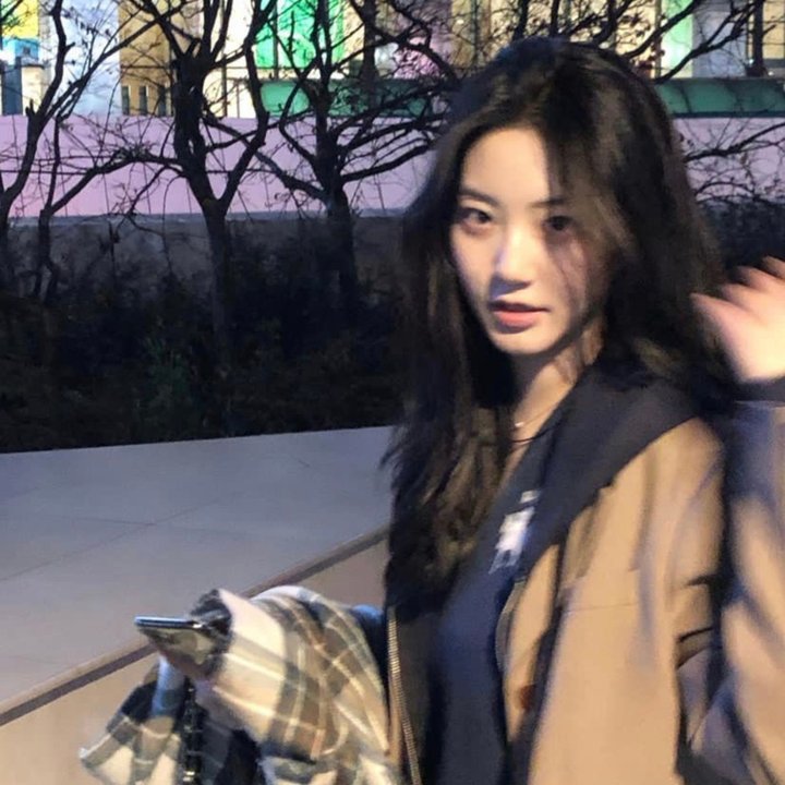 饵